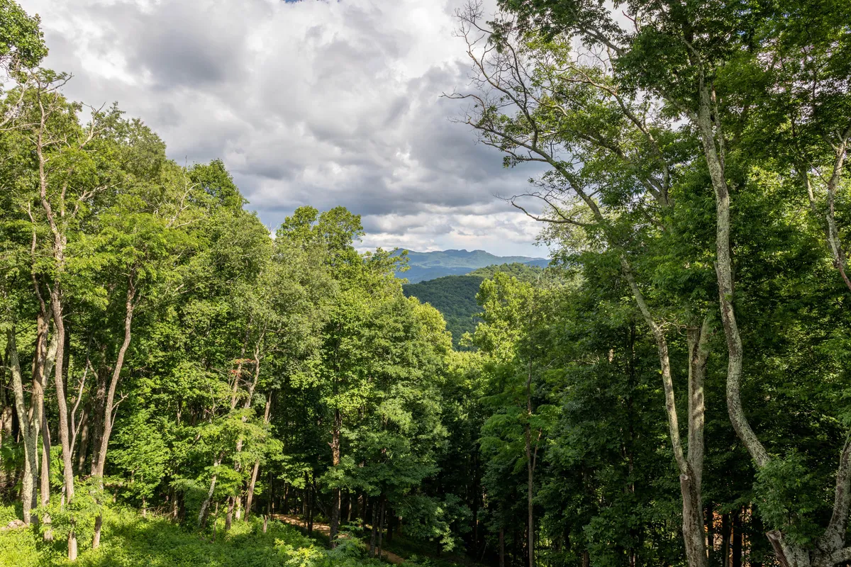 A sweeping view of lush green trees and distant mountains beneath a cloudy sky, exemplifying the natural beauty and outdoor adventure opportunities available at Eagles Nest. The landscape invites hiking, wildlife watching, and exploration.