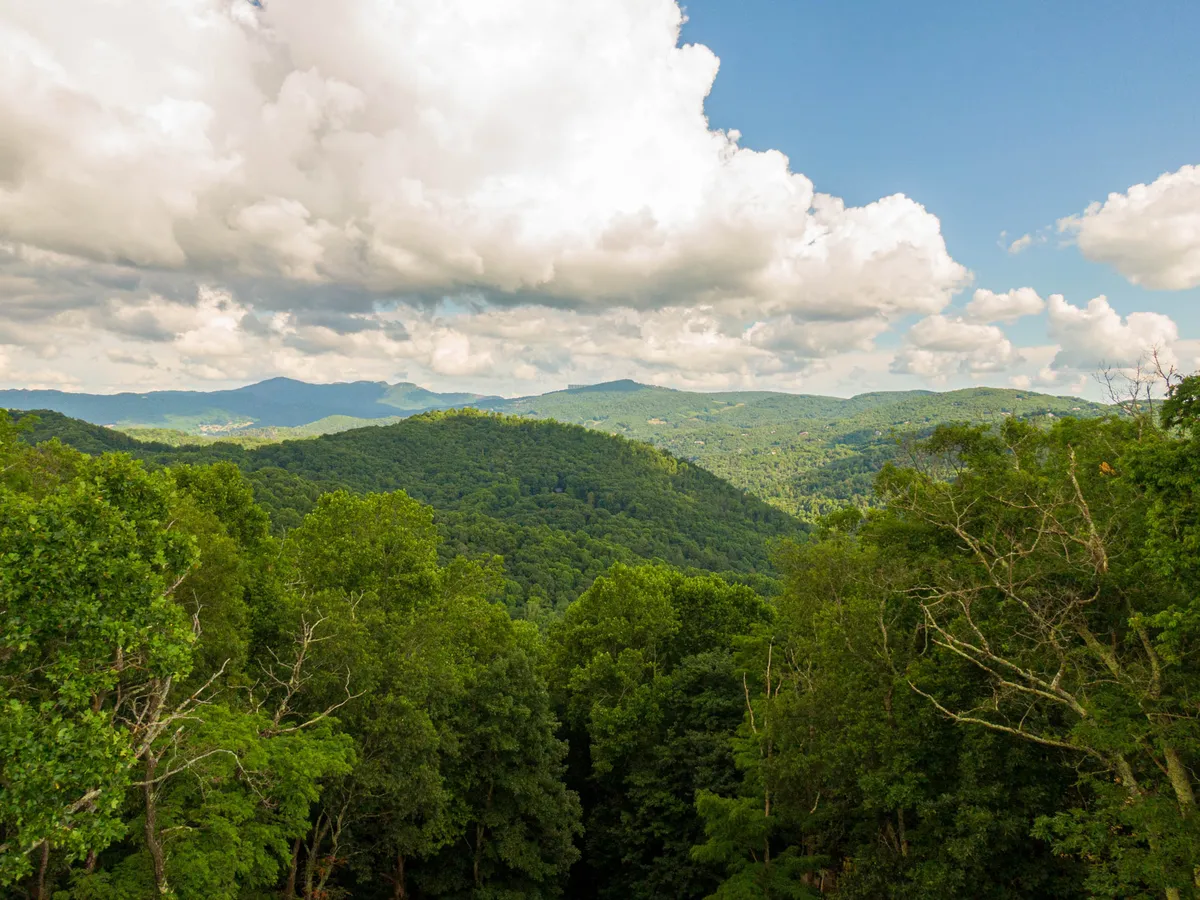 A wide, panoramic view of rolling hills covered in dense trees, with distant mountains and a cloudy sky overhead. The scene suggests endless opportunities for hiking, nature observation, and relaxation in the great outdoors.